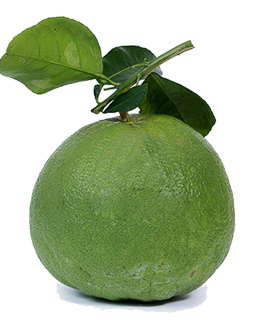 Bưởi da xanh