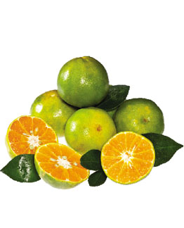 Qu&yacute;t Đường