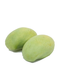 Xo&agrave;i Tứ Qu&yacute;